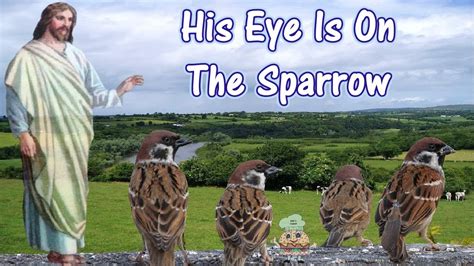 his eye is on the sparrow youtube